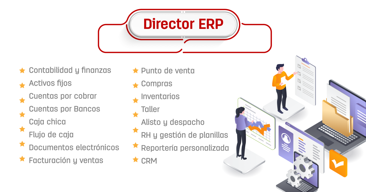 Qué Es Un ERP, Para Qué Sirve Y Ejemplos - Director